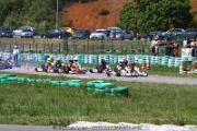 20110501_ales_agnus (2451)